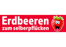 PVC-Banner oder Klebefolie ERDBEEREN ZUM SELBERPFLÜCKEN-1