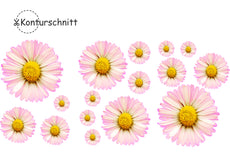 Klebefolie MARGERITEN LIGHT 16 Stück Konturschnitt-1