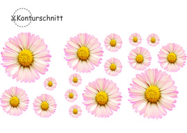Klebefolie MARGERITEN LIGHT 16 Stück Konturschnitt