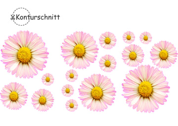Klebefolie MARGERITEN LIGHT 16 Stück Konturschnitt
