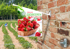 Fahne FRISCHE ERDBEEREN inkl. Halterung-2