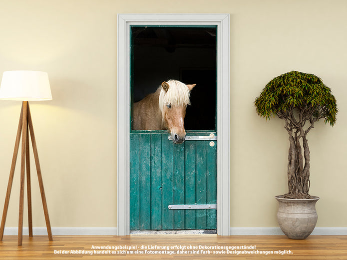 Türtapete PFERD IM PFERDESTALL HOLZTÜR GRÜN selbstklebend